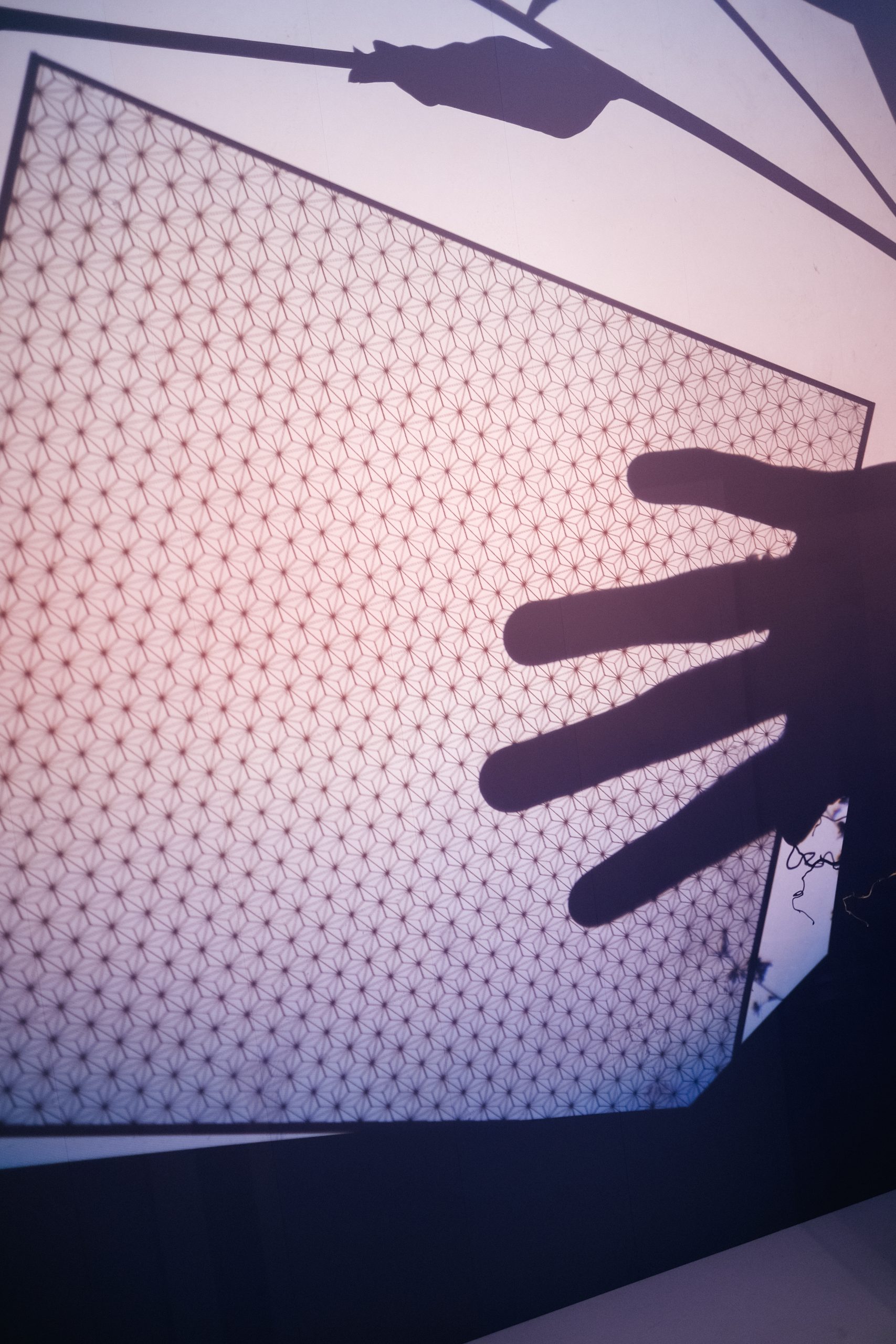 Новая коллекция SOFIA: как стекло стало искусством