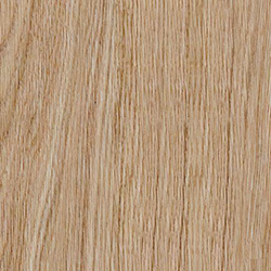 Классический дуб