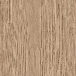 Песочный дуб