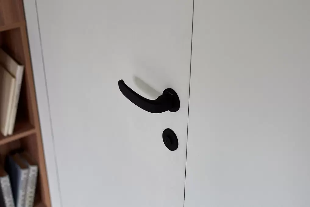 picture-6