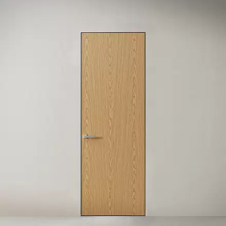 Межкомнатная дверь Акустика